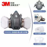 防毒面具 3M 6502QL+6001套装