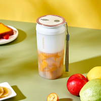 帕尼迪 便携式小型多功能家用电动搅拌杯果汁杯 ST-03