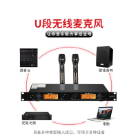 川利卡(CLK)-E203D一拖二手持话筒 单位:对