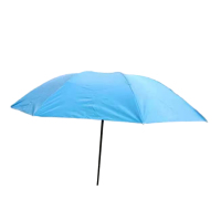 一颗枣树定制折叠雨伞