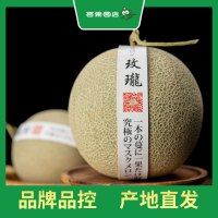 百果园玫珑蜜瓜2粒普通装(单果重≥900g,净重4-4.5斤)