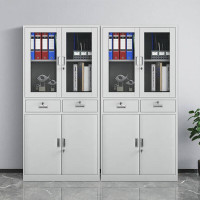 SUXINGAUTO文件柜铁皮钢制办公柜资料档案柜玻璃储物柜 中二斗