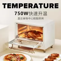 温仑山 电烤箱蒸烤一体家用小型10L 大容量多功能烘焙迷你空气炸锅