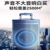 6.5寸音箱 大喇叭+遥控器+2支原装话筒+16gU盘