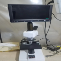 卜邻 恒温显微镜 恒温载物台电子数显加热实验显微镜 25-45℃