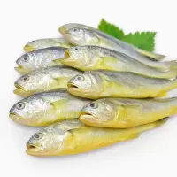 小黄花鱼500g