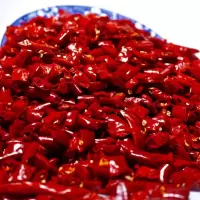 树椒段500g