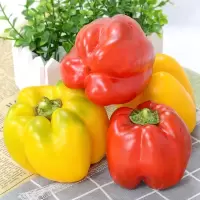 彩椒500g
