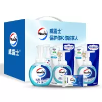 威露士个人护理甄选套装ZS109(洗手液+湿巾组合)