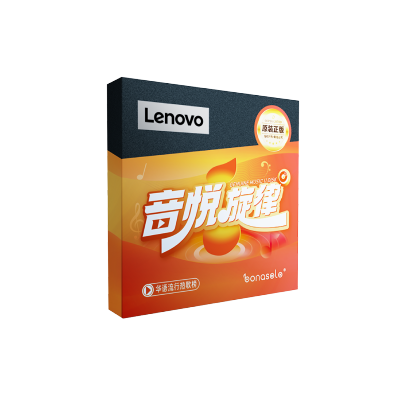 Lenovo/联想汽车载优U盘MP3高音质车用载2023抖音新歌老歌dj歌u盘-极限释放MP3款