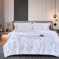 真丝提花蚕丝被200*230cm/2500g