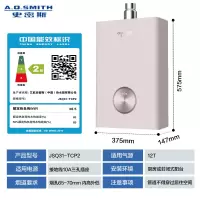 史密斯(A.O.SMITH)JSQ31-TCP2 燃气热水器 (H)