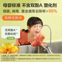 史密斯(A.O.SMITH)CXR1000-A1净水器 (H)