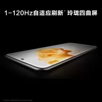 华为/HUAWEI P60 超聚光XMAGE影像 双向北斗卫星消息 256GB 羽砂黑 鸿蒙曲面屏 智能旗舰手机