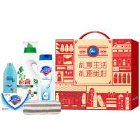 宝洁缤纷祝福洗护套装B