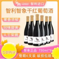 智利进口 智象干红葡萄酒750ml*6瓶佐餐聚会送礼