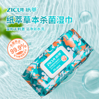 纸萃湿巾 手口湿巾80片*3包 湿纸巾 卫生湿巾 湿纸巾宝宝清洁湿纸巾 单包