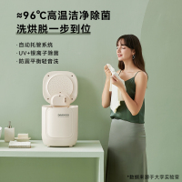 大宇(DAEWOO)内衣洗衣机 迷你台式内裤全自动洗衣机家用洗烘脱一体小型洗袜子神器婴儿宝宝懒人波轮清洗器FM02