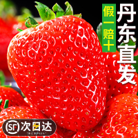冠町 丹东99草莓2斤装特大果(单果35+g) 久久红颜奶油新鲜水果