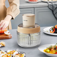 BLAUPUNKT绞肉机家用多功能绞馅机料理机搅肉机 2L BP-JR04搅拌机辅食机饺子肉馅机