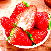 [西沛生鲜]顺丰快递 四川大凉山草莓 新鲜冬草莓 净重4.8斤 中果 单果15-20g 当天现摘现发 露天种植