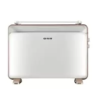 先锋(Singfun)取暖器 欧式快热炉 电暖器 家用电暖气 欧式快热炉 居浴两用对流式电热炉 DOK-K3