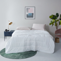 LOVO 美柔抗菌被子 (英威达)VQF2020-3 200*230cm