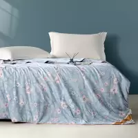 红秀世纺 柔软亲肤蝶恋花水洗蚕丝被 150×200cm SF2303-T010