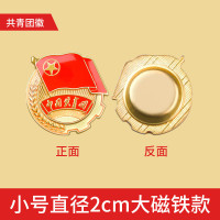 共青团团徽标准款别针大磁扣 学生团员适用团徽 大号直径2.5cm 别针扣100个装