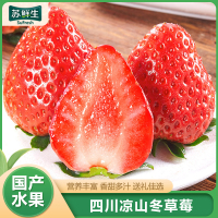 [苏鲜生]四川大凉山草莓 新鲜草莓 3斤 小果 单果8-15g左右 当天现摘现发 露天种植 香甜多汁
