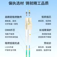 普天飞燕 万兆多模 LC-LC 15米(单位:条)