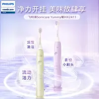 飞利浦(PHILIPS)电动牙刷声波电动牙刷牙医推荐便携软毛刷3种模式生日礼物送男友/女友 HX2411/03浅豆绿