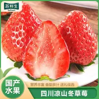 [苏鲜生]顺丰快递 四川大凉山草莓 新鲜草莓 净重3斤 小果 单果10-15g左右 当天现摘现发 露天种植