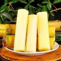 [熊猫鸟]云南特产新鲜黄金甘蔗 净重9斤 当季新鲜水果 口感清甜 熊猫鸟