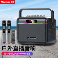 纽曼(Newsmy) 声卡特效版蓝牙音箱K112(双话筒+遥控器)黑色