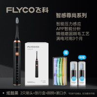 飞科(FLYCO) 电动牙刷成人软毛充电式情侣生日礼物送男女友FT7205 炫酷黑[2个刷头]