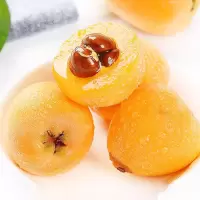 顺丰快递[熊猫鸟]攀枝花米易枇杷 净重1斤 单果30g左右 新鲜当季水果现摘农家自种