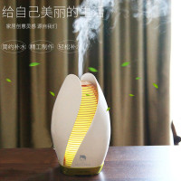 联创(Lian)香薰加湿器 空气加湿卧室宿舍静音家用迷你香薰加湿 DF-DT5001M 白色(单位:台)