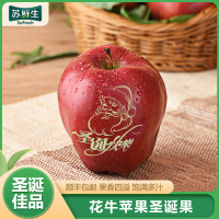 [苏鲜生]顺丰快递 甘肃 花牛苹圣诞果 蛇果 甜美可口 18枚装 新鲜水果红刮泥粉甜宝宝辅食