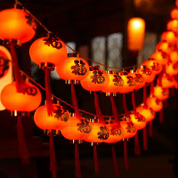 福字红灯笼 过年彩灯春节元宵新年装饰灯串 圆福灯笼 -5米20灯(常亮插电款)