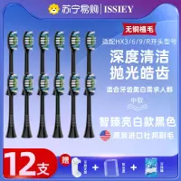 智臻亮白款黑色[12支]