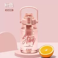 希乐矫健运动水杯XL-2330 850ML随机色