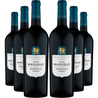 光之颂亿盛境系列波尔多干红葡萄酒750ML(六瓶装)