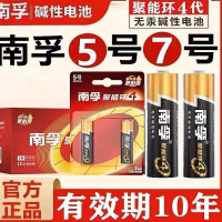 南孚5号碱性电池 40粒
