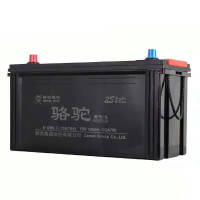 VEIGAR骆驼启动电瓶12V120AH