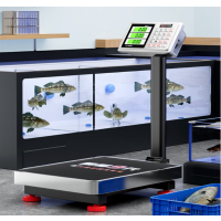 电子秤 200KG 落地电子秤商用台秤高精度高续航电子称 单位:台