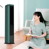 先锋(SINGFUN)DTS-S5R水冷塔扇 水冷降温等离子杀菌新一代水冷降温技术迅速降温