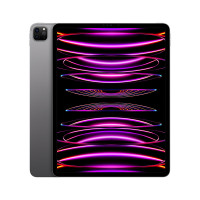 Apple iPadPro12.9英寸平板电脑 2022年款128G WLAN版 深空灰色MNXP3CH/A