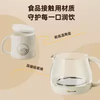 电水壶/电热水瓶 小熊/Bear YSH-D08D3 耐高温玻璃 1L以下