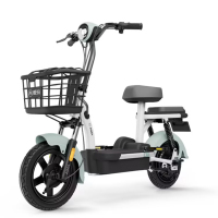 企业定制 爱玛电动车电动自行车电瓶车小型轻便新国标代步车礼想(随机发货)